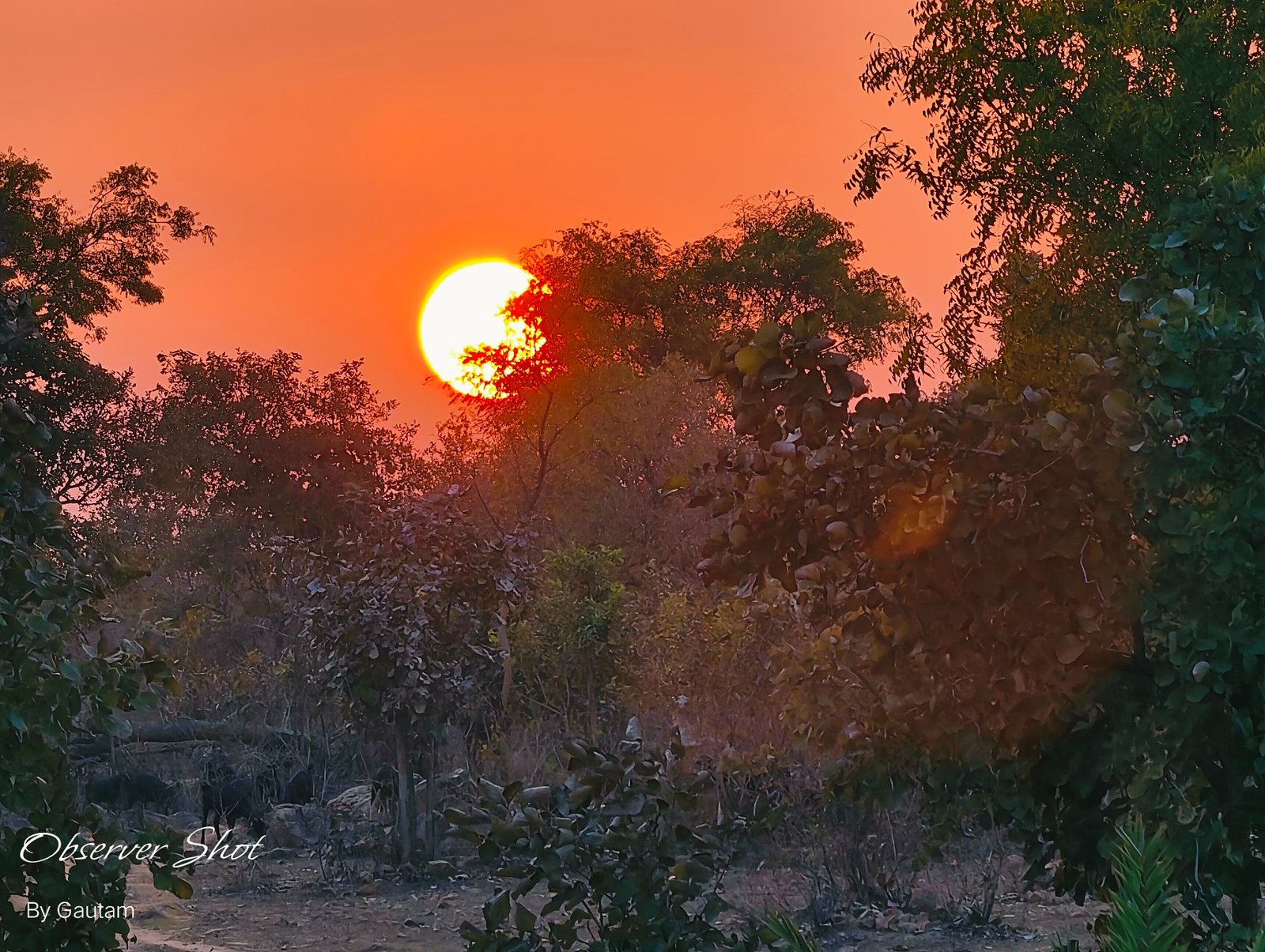 Sunset in the natural landscape around Chandanpura