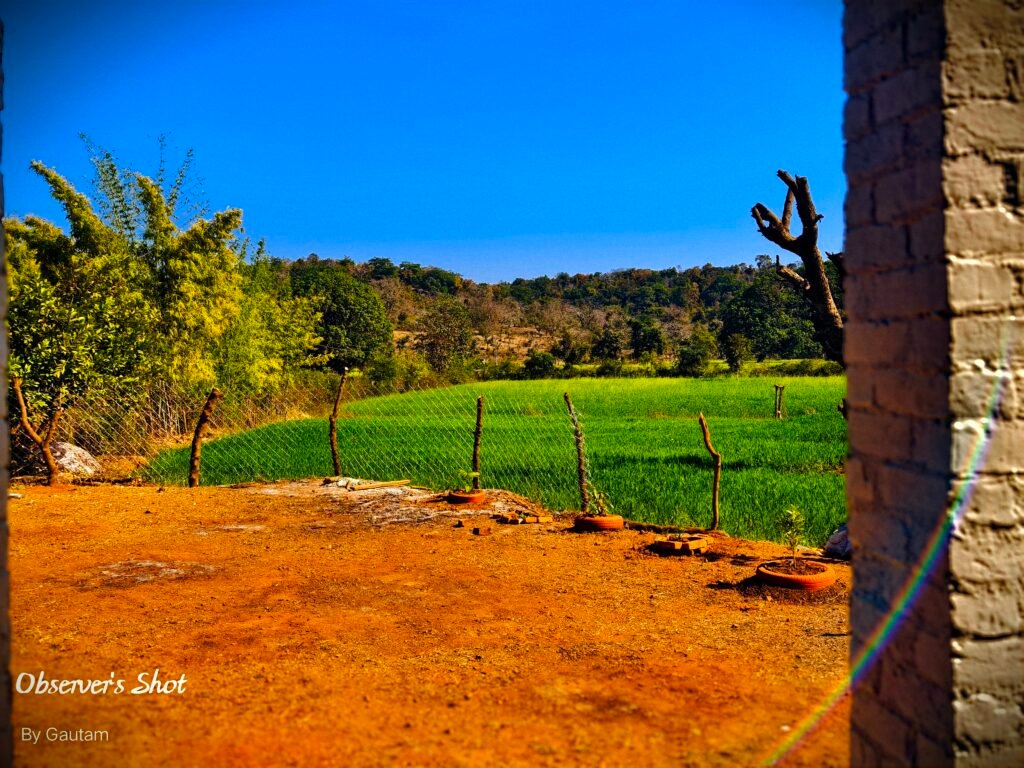 Nature Homestay