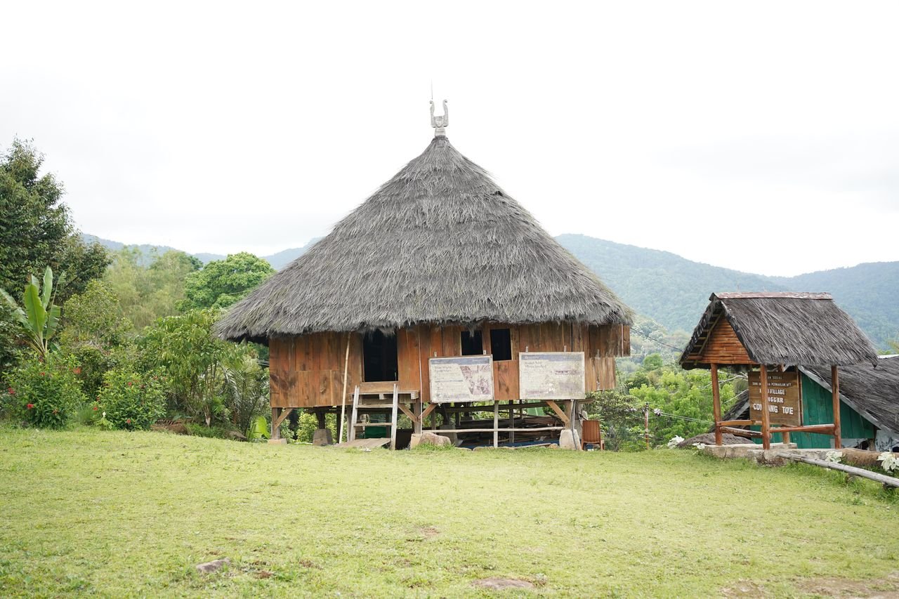 A traditional thatched hut in East Nusa Tenggara, Indonesia, set against lush greenery.